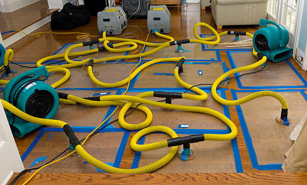 Professional Water Damage Restoration technician working in Bethany, OK